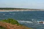 SriLanka-2025-02-02 16-03-45