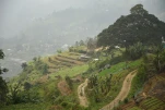 SriLanka-2025-02-05 13-44-02