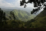 SriLanka-2025-02-07 11-23-44