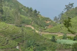 SriLanka-2025-02-04 15-26-59 DMC