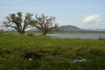 SriLanka-2025-02-01 15-56-38