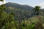 SriLanka-2025-02-07 14-47-11
