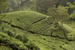 SriLanka-2025-02-04 14-44-57