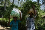 SriLanka-2025-02-04 11-39-46
