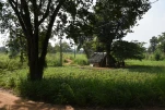 SriLanka-2025-02-09 15-33-11