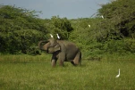 SriLanka-2025-02-02 15-46-51