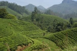 SriLanka-2025-02-08 13-53-54