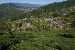 SriLanka-2025-02-04 10-30-44