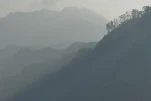 SriLanka-2025-02-06 16-53-55 DMC