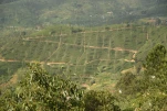 SriLanka-2025-02-05 16-03-07