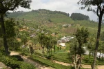 SriLanka-2025-02-05 12-13-35