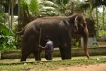SriLanka-2025-01-26 12-30-12