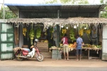 SriLanka-2025-01-24 14-44-06