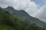 SriLanka-2025-02-05 13-18-27 DMC