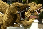 Thailande 2017-11-20 11-36-26-A