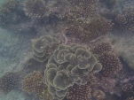 Thailande 2017-12-04 16-18-34