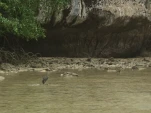 Thailande 2017-12-02 14-46-48