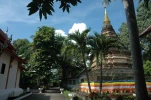 Thailande 2017-11-20 11-29-09