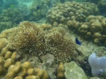 Thailande 2017-11-29 12-35-00