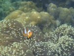 Thailande 2017-11-29 12-35-14