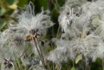 DiaposIslande-2019-09-17 12-15-40