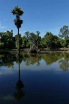 Cambodge-2023-11-16 10-50-05-Anne