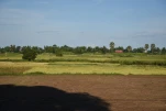 Cambodge-2023-11-11 15-58-16