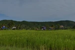 Cambodge-2023-11-21 14-19-13-Anne