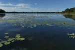 Cambodge-2023-11-16 10-38-05-Anne