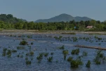 Cambodge-2023-11-21 11-00-04-Anne