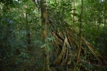 Cambodge-2023-11-08 06-39-40