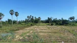 Cambodge-2023-11-14 08-49-26-Anne