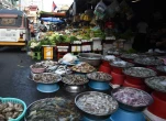 Cambodge-2023-11-05 15-28-49