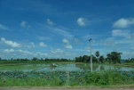 Cambodge-2023-11-06 10-58-18-Anne