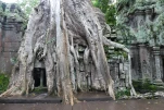 Cambodge-2023-11-15 17-01-35-Anne