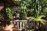 Cambodge-2023-11-09 11-45-25