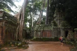 Cambodge-2023-11-15 16-35-38