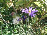 OuestAmericain-2022-10-11 12-24-32-Anne