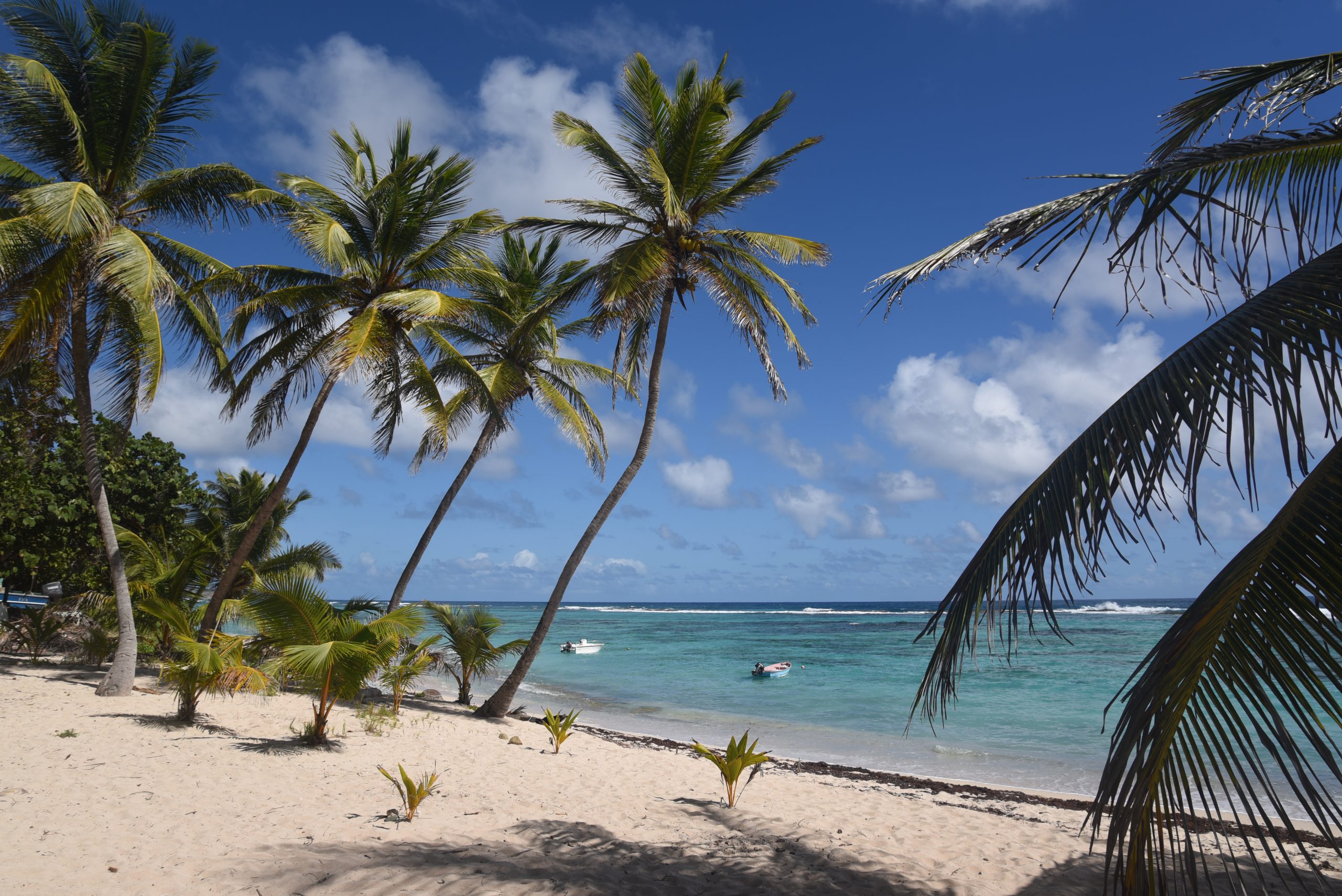2-Guadeloupe-2021-01-21_13-19-40