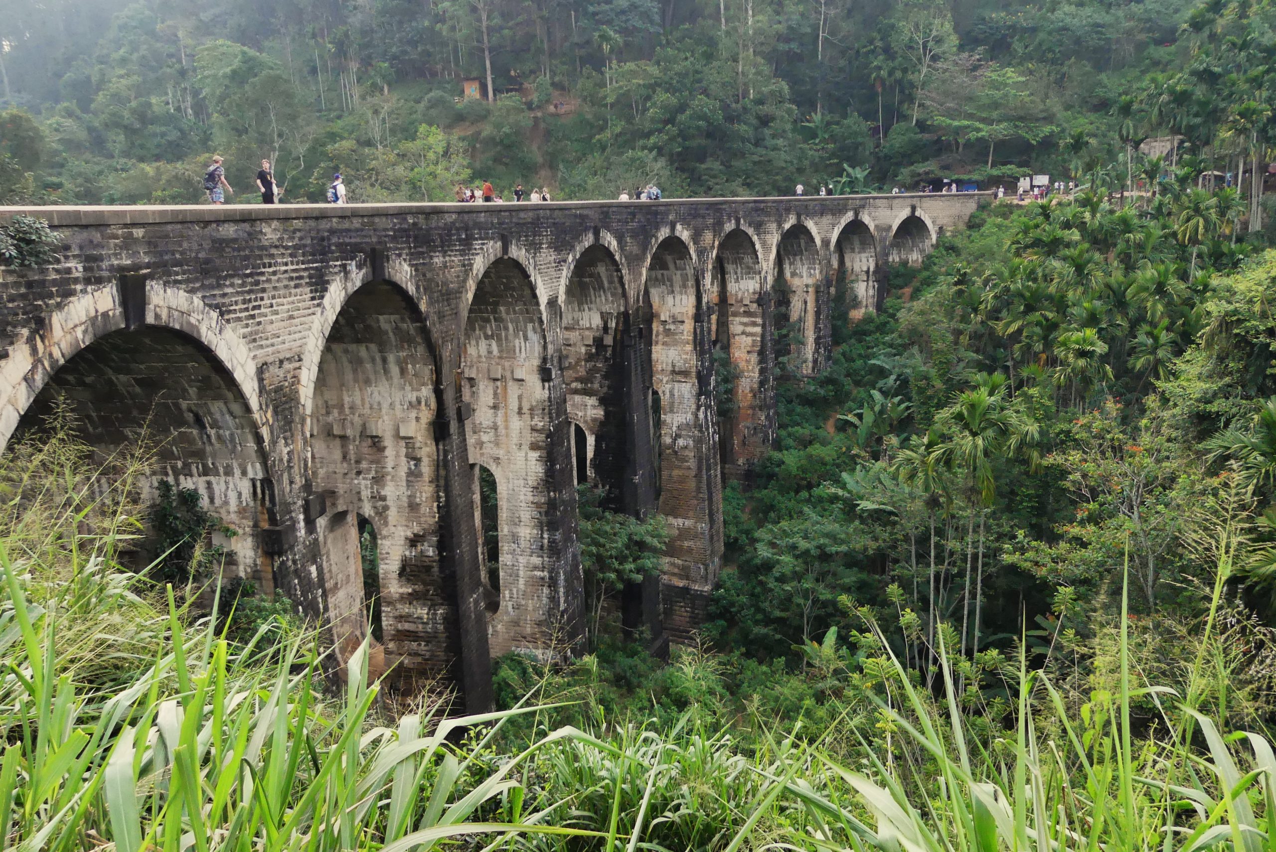 SriLanka-2025-02-06_18-15-51_DMC